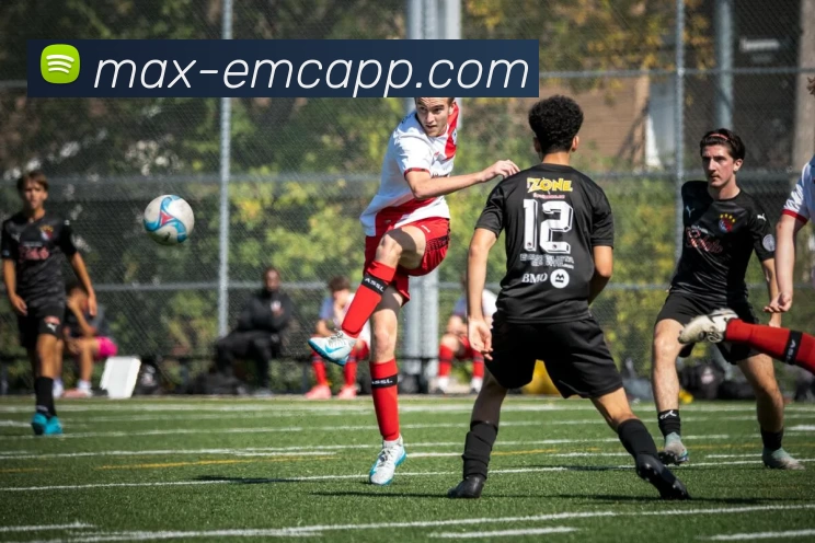 易倍体育平台生态图